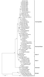 Thumbnail of Maximum-likelihood phylogenetic tree of dengue virus type 2 isolates from Taiz, Yemen, 2016 (top branch), and reference isolates. The tree was constructed by using envelope gene sequences. Numbers on nodes indicate bootstrap values (%) for 1,000 replicates. Only bootstrap values &gt;70% are indicated. Scale bar indicates nucleotide substitutions per site.