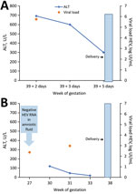 Thumbnail of Relationship of HEV RNA and alanine aminotransferase to gestation and delivery time for 2 pregnant women, case-patient 1 (A) and case-patient 2 (B), in Ceeram, La Chapelle sur Erdre, France. Upper limit of normal for ALT values is 40 IU/mL. HEV RNA was quantified by a commercial real-time reserve transcription PCR assay targeting open reading frame 2/3. ALT, alanine aminotransferase; HEV, hepatitis E virus; U/L, units per liter.