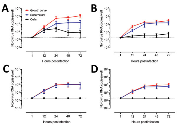 Testing for human norovirus replication in human intestinal enteroids (HIEs) by assessment of kinetics of infection for 4 GII genotypes. We inoculated jejunal HIE monolayers (J3 line) with A) GII.4 Pe-GII.4 Sydney (3.3 × 105 RNA copies/well), B) GII.P12-GII.3 (5.3 × 105 RNA copies/well), C) GII.P16-GII.2 (3.2 × 105 RNA copies/well), or D) GII.Pg-GII.1 (9.3 × 105 RNA copies/well). After 1 h at 37°C in 5% CO2, monolayers were washed, and media was replaced with differentiation media and incubated 