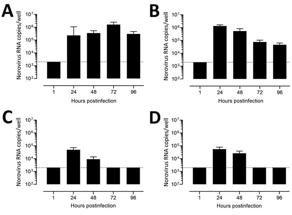 Confirmatory testing for human norovirus replication in human intestinal enteroids (HIEs). We inoculated jejunal HIE monolayers (J3 line) with A) GII.4 Pe-GII.4 Sydney (3.3 × 105 RNA copies/well), B) GII.P12-GII.3 (5.3 × 105 RNA copies/well), C) GII.P16-GII.2 (3.2 × 105 RNA copies/well), or D) GII.Pg-GII.1 (9.3 × 105 RNA copies/well). After 1 h at 37°C in 5% CO2, monolayers were washed, and media was replaced with differentiation media and incubated at 37°C and 5% CO2. At 24, 48, and 72 hours po