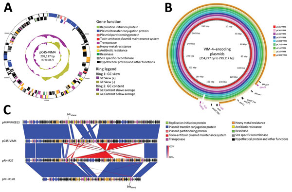 Analysis of blaVIM-4–encoding plasmids from study of nosocomial outbreak involving carbapenamase-producing Enterobacter strains, Lyon, France, January 12, 2014–December 31, 2015. A) Schematic representation of ST1-IncHI2 plasmid pC45-VIM4. The first ring indicates the coordinates of the complete plasmid circle. The 2 outer rings represent the forward and the reverse open reading frames, respectively. B) Comparative sequence analysis of ST1-IncHI2 blaVIM-4–encoding plasmids from this study. The p