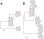 Thumbnail of Phylogenetic analysis of A) 5′ UTR and B) E2 region sequences of human pegivirus from 3 patients with encephalitis of unclear origin, Poland, 2012–2015. Phylogenic trees were generated using ClustalX version 2.0 (http://www.clustal.org/clustal2/). Viral variant frequencies follow haplotype number. Red indicates patient 1; blue, patient 2; green, patient 3. Scale bars indicate number of nucleotide substitutions per site. C, cerebrospinal fluid; S, serum; UTR, untranslated region. 