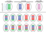 Thumbnail of Number of samples in study of avian influenza A(H5N1) viruses circulating in Indonesia, 2015–2016, by district (A), time (B), poultry type (C), poultry sector (D), and farm size (E) from which the complete HPAIV H5N1 genome could be obtained.