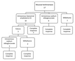 Thumbnail of Treatment types and results for patients with mucosal leishmaniasis, Israel, 1993–2015. 