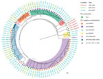 Thumbnail of Phylogenomic relationship of 105 Bordetella pertussis epidemic isolates from Australia. The minimum-evolution tree was constructed using 705 SNPs. The isolates are labeled by name (L numbers), followed by states with color to indicate years of isolates. Shaded areas inside circle indicate ELs (EL1–EL5) and branches with isolates belonging to SP18 and those carrying fim3B and prn3 alleles. Prn-positive isolates and different mechanisms of Prn-negative isolates are marked by circles w