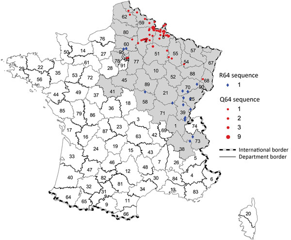 Location of the Puumala virus small segment RNA coding domain sequence sublineages Q64 and R64 detected in human cases, by municipality of exposure, France, 2012–2016. Gray shading indicates the hantavirus-endemic area; red circles indicate Q64 sequences, by size; blue diamonds indicate R64 sequences.