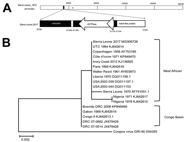 Phylogenetic analysis and molecular signatures of monkeypox virus (MPXV) Sierra Leone 2017 and other collected MPXV isolates. A) Schematic representation of the MPXV Sierra Leone 2017 genomic fragment by reference to genomic data on MPXV Sierra Leone 1970. MPXV Sierra Leone 2017 contains 3 parts: an unknown region, genes encoding dUTPase, and genes encoding partial kelch-like protein. *, binding position of primers used for real-time PCR detection. Bottom panel displays genes described. Arrows i