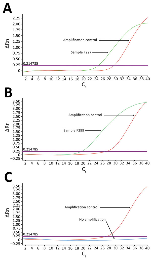 TaqMan array card amplification plots for 2 dengue virus–positive samples and 1 negative sample in study of dengue virus among 166 children with suspected malaria, Accra, Ghana, October 2016–July 2017. Blood samples (2.5 mL of the 5.0 mL collected) obtained from children reporting to the hospital with acute febrile illness (AFI) were screened for 26 pathogens simultaneously by using the real-time PCR TaqMan array card. The cards were in 384-well format, and each well contained 1 µL of reaction m