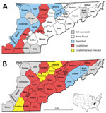 Thumbnail of County-level distribution of Ixodes scapularis ticks and Borrelia burgdorferi–infected I. scapularis ticks in upper Tennessee Valley, USA, 2006 and 2017. A county was classified as having an established I. scapularis population if &gt;6 I. scapularis adult ticks or ticks of 2 life stages were collected in that county. A county was classified as having I. scapularis ticks reported if 1–5 I. scapularis ticks of a single life stage were collected in that county. A county was classified