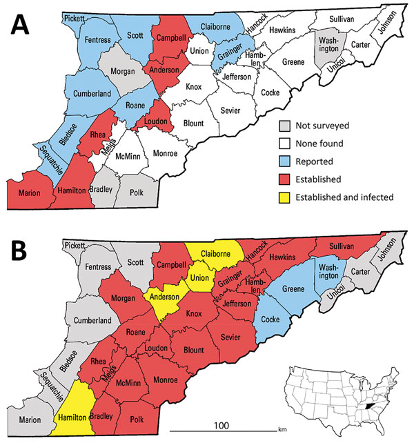 County-level distribution of Ixodes scapularis ticks and Borrelia burgdorferi–infected I. scapularis ticks in upper Tennessee Valley, USA, 2006 and 2017. A county was classified as having an established I. scapularis population if &gt;6 I. scapularis adult ticks or ticks of 2 life stages were collected in that county. A county was classified as having I. scapularis ticks reported if 1–5 I. scapularis ticks of a single life stage were collected in that county. A county was classified as infected 