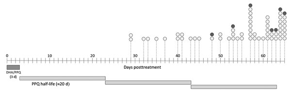 Timeline distribution of Plasmodium falciparum pfpm2 copy number status during post–DHA/PPQ treatment follow-up for artemisinin combination therapy efficacy trials conducted by the West African Network for Antimalarial Drugs, Mali, Burkina Faso, and Guinea, October 2011–February 2016. Dark gray bar highlights the period (3 d) of treatment; lighter, longer gray bars represent PPQ average half-life (≈20 d). Circles represent recurrent infections; white circles indicate 1 pfpm2 copy, and gray circl