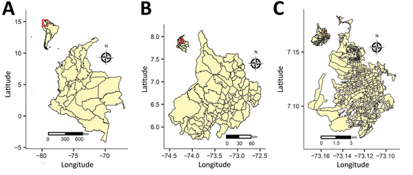Location of the areas included in joint estimation of relative risk for dengue and Zika virus infections, Colombia, 2015–2016. A) Country of Colombia; inset shows location of Colombia in South America. B) Department of Santander; inset shows location of Santander in Colombia. C) City of Bucaramanga; inset shows location of Bucaramanga in Santander.