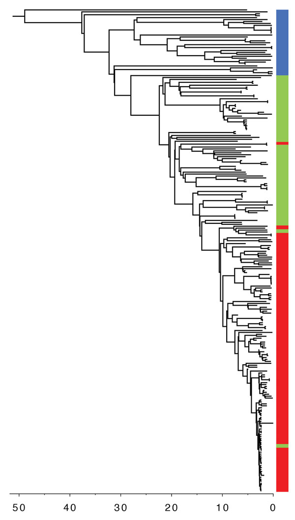 Timed phylogeny of Shiga toxin–producing Escherichia coli O157:H7 sublineage IIb isolates illustrating the sequential loss of stx2c and subsequent gain of stx2a. Red indicates stx2a; green, stx negative; blue, stx2c. Scale bar indicates years in the past.