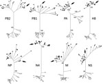 Thumbnail of Maximum-likelihood phylogenetic trees showing inferred relationships among nucleotide sequences for the complete coding regions of gene segments for influenza A virus strain A/northern pintail/Alaska/UGAI16–3997/2016(H8N4) (white circle indicated with an arrow) and reference sequences from viruses isolated from birds in Eurasia (black circles) and North America (white circles). Bootstrap support values for continentally affiliated clades are shown. Phylogenetic trees with complete s