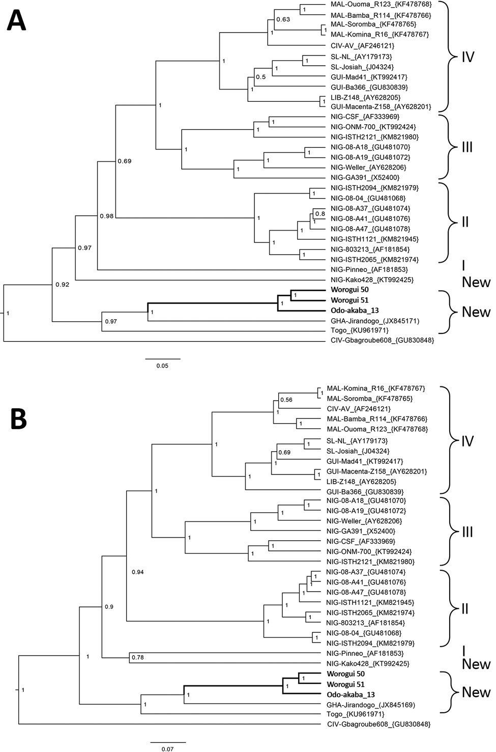 Bayesian phylogenetic analyses based on nucleotide sequences of the partial glycoprotein and nucleoprotein genes of Lassa virus (LASV), showing the placement of the new sequences (in boldface) isolated from Mus baoulei pygmy mice, in comparison with other sequences representing the members of LASV lineages I–IV. A) Glycoprotein, 1,408 nt; B) nucleoprotein, 1,654 nt. The trees are rooted by Gbagroube, a LASV-like virus isolated from Mus setulosus mice in Côte d’Ivoire. Statistical support of grou