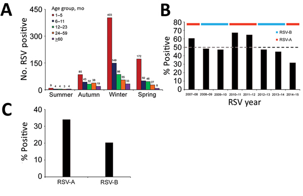 Hospitalized children with pneumonia testing positive for RSV, by age group, calendar season, and RSV subgroup, Beijing, China, July 1, 2007–June 30, 2015. A) Number of RSV-positive children (indicated by numbers above bars) by age group and season. Summer is defined as June–August, autumn as September–November, winter as December–February, and spring as March–May. B) Percentage of infants aged 28 days–5 months positive for RSV, by RSV season. The horizontal ribbon on top of the chart denotes th