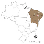 Thumbnail of Location of the deaths of farmed Nile tilapia (Oreochromis niloticus) (shaded area) caused by Streptococcus agalactiae serotype III sequence type 283 (red diamonds), Brazil. BA, Bahia state; CE, Ceará state; PE, Pernambuco state; PI, Piauí state; ST, sequence type.
