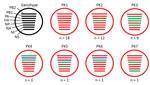 Thumbnail of Genotypes of influenza A(H9N2) viruses from Pakistan. Full genome sequences of 43 contemporary H9N2 avian influenza viruses from Pakistan were used to generate 7 unique genotypes, designated PK1–PK7. Each circle represents a genotype, and n values indicate the total number of viruses assigned to the given genotype. Each line within a circle represents a virus gene segment, and different segment colors between the same gene correspond to a &gt;2% nucleotide difference. Black indicate