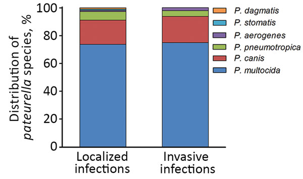 Distribution of various Pasteurella spp. in localized and invasive infections, Szeged, Hungary, 2002–2015. 