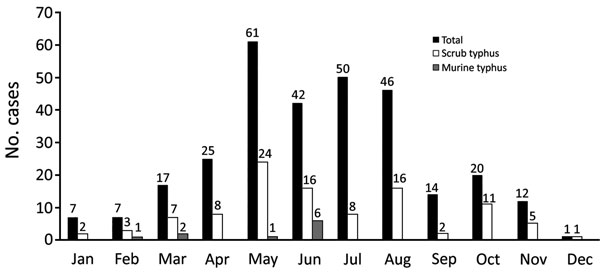 Frequency of all enrolled patients and those with confirmed scrub typhus or murine typhus in National Hospital for Tropical Diseases and Bach Mai Hospital, by month, Vietnam, March 2015–March 2017.