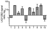 Thumbnail of Bar graph of antibody-signal ratios (y-axis) showing discrimination of the ovine, bovine, moose and reindeer samples (x-axis) analyzed in a study characterizing chronic wasting disease in moose (Alces alces), Norway. The antibody ratio is the L42/12B2 ratio of the chemiluminescence signal relative to the L42/12B2 ratio of the control scrapie loaded in each blot. Bars represent median values of &gt;3 independent determinations; error bars represent the range of observed values. Bars 