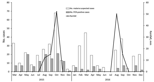 Frequency and monthly distribution of malaria cases diagnosed by using PCR and rainfall amounts in Atar, northern Mauritania, 2015–2016.