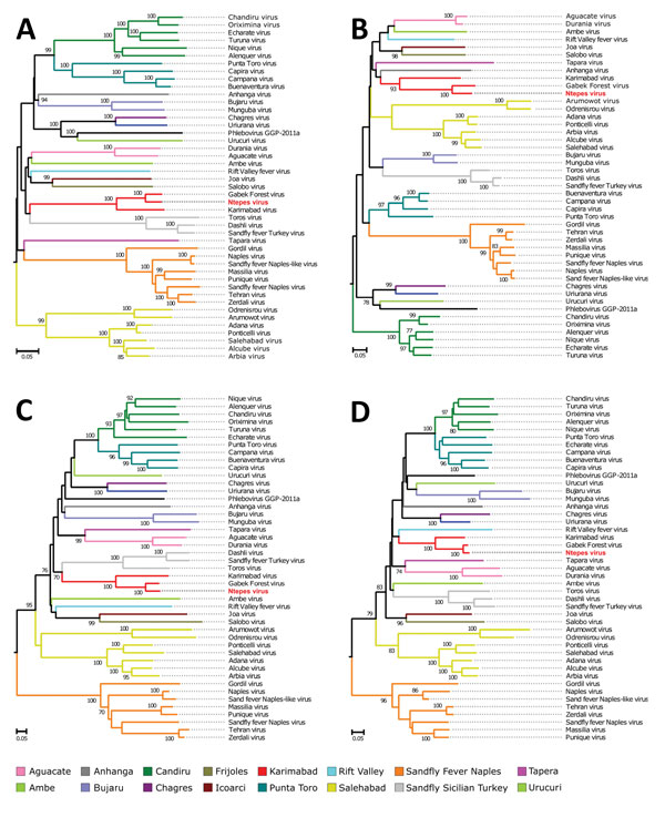 Phylogenetic relationship of novel sand fly–associated phlebovirus Ntepes virus from Kenya (red bold text) in relation to other selected members of the Phlebovirus genus. A) RNA-dependent RNA polymerase; B)  nucleocapsid protein; C) glycoprotein Gn; D) glycoprotein Gc. The phylogenetic trees were inferred based on complete large, medium, and small protein sequences, applying maximum likelihood analysis in PhyML version 3.0 (http://www.atgc-montpellier.fr/phyml/versions.php) using the LG substitu