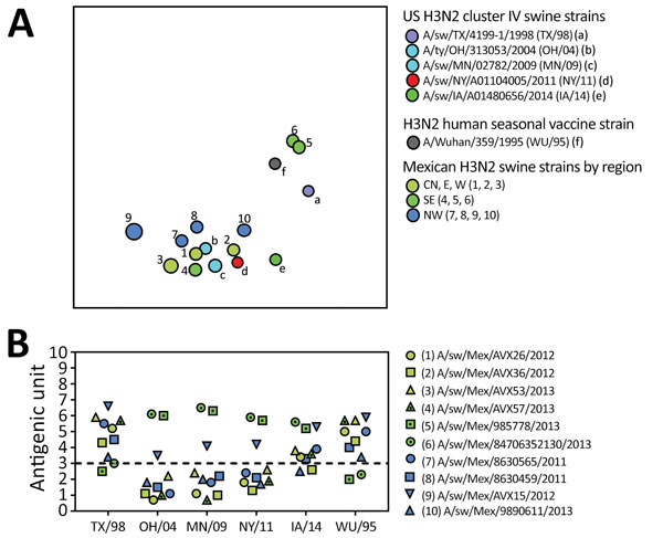 Antigenic relationships between contemporary influenza A (H3N2) viruses from Mexico and representative strains from the United States. A) Antigenic map of contemporary swine H3N2 viruses from Mexico and the United States. Antigenic clusters are indicated by color as in Figures 4 and 5. CN, central; E, east; NW, northwest; SE, southeast; W, west. B) Antigenic distance between H3N2 virus from Mexico and representative swine strains from the United States and a putative ancestral human seasonal vac