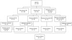 Thumbnail of Flow chart for 37 children with confirmed XDR TB and details of TB treatment history, type of TB treatment, and treatment outcome. DR, drug-resistant; DS, drug-susceptible, MDR, multidrug-resistant; TB, tuberculosis; XDR TB, extensively drug-resistant TB.