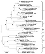 Thumbnail of Phylogenetic analysis of severe fever with thrombocytopenia syndrome virus isolated from a military dog in South Korea (dog 22, bold) compared with reference viruses, based on the complete small segment. Evolutionary history was inferred using the maximum-likelihood method, based on the Kimura 2-parameter model (1,000 bootstrap replicates). The percentage of trees in which associated taxa clustered is shown next to the branches. The clades are designated by Japanese group. Scale bar
