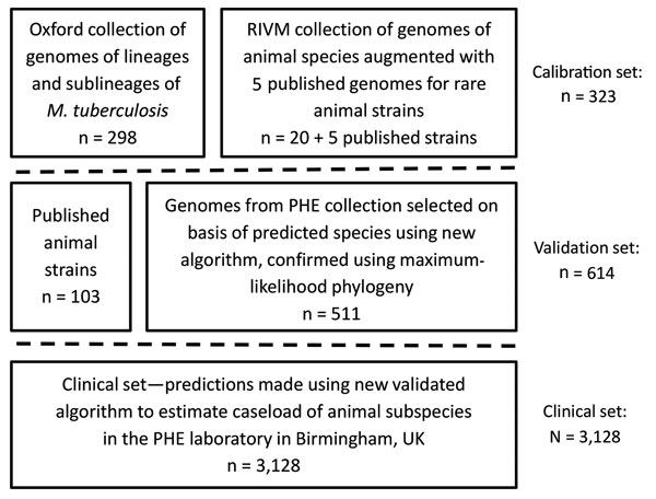 Description of the Mycobacterium tuberculosis complex datasets used in the 3 stages of calibration, validation, and application to a clinical set of the new SNPs to Identify TB tool. PHE, Public Health England (Birmingham, UK); RIVM, Netherlands National Institute for Public Health and the Environment (Bilthoven, the Netherlands). SNP, single-nucleotide polymorphism.