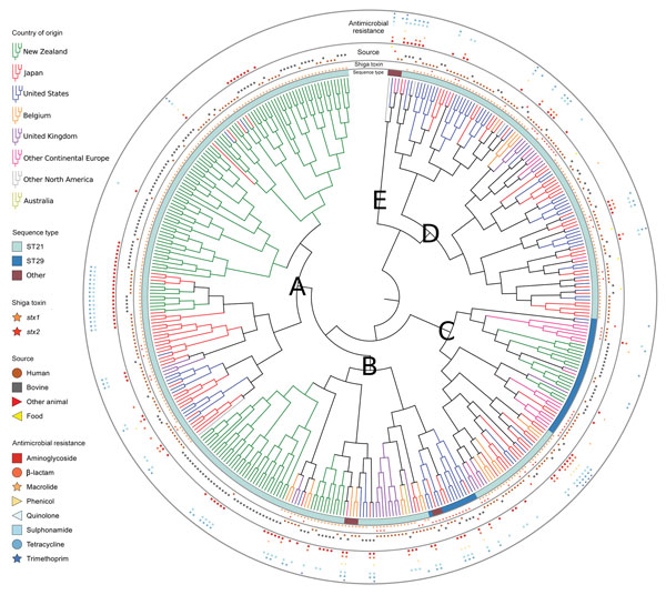 Hierarchical set RaxML tree of pangenome elements of 404 Escherichia coli serogroup O26 isolates in investigation of historical importation of Shiga toxin–producing E. serogroup O26 and nontoxigenic variants into New Zealand. A–E indicate clades, which are annotated. ST, sequence type.