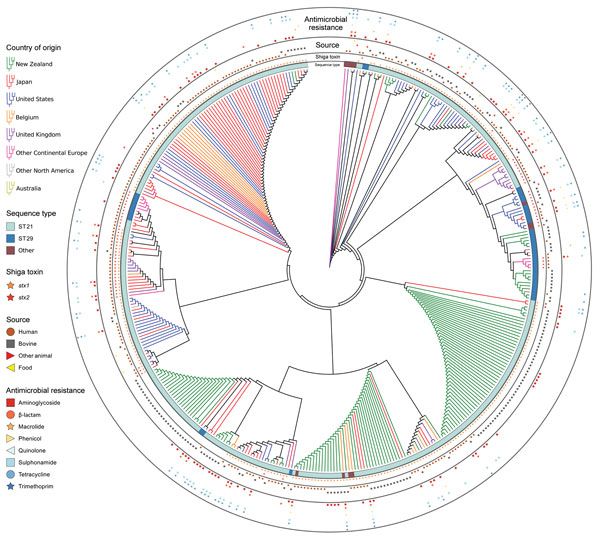 Neighbor-joining tree of 192 virulence genes of 404 Escherichia coli serogroup O26 isolates in investigation of historical importation of Shiga toxin–producing E. coli serogroup O26 and nontoxigenic variants into New Zealand. Branch lengths are ignored to better illustrate the country of origin of each isolate; therefore, closely spaced trellis-like branches have identical virulence profiles. ST, sequence type.
