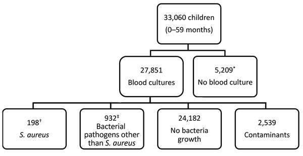 Flowchart of participants included and excluded in study of Staphylococcus aureus bacteremia incidence in children &lt;5 years of age, The Gambia, 2008–2015. Participants were identified through the Basse and Fuladu West Health and Demographic Surveillance Systems. In total, 521 cases were identified through referral surveillance and 418 through admission surveillance. *Reasons for not having blood culture done included unsuccessful venipuncture (n = 487), declined consent for venipuncture (n = 