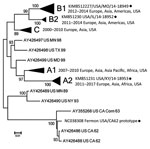 Thumbnail of Unrooted neighbor-joining tree depicting phylogenetic relatedness of reference enterovirus D68 isolates (black circles) used in microneutralization assays in study of enterovirus D68 seroprevalence among children and adults in Kansas City, Missouri, USA, 2012–2013. We constructed tree using complete virus protein 1 gene sequences and MEGA6.0 (8). Branching within major clades (bolded) is collapsed for clarity.