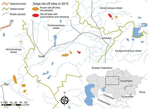 Geographic distribution of saiga antelope die-off events, Kazakhstan, 2015. Red and orange areas indicate known outbreak locations of the 3 saiga populations. Inset shows area in relation to the rest of Kazakhstan and neighboring countries of central Asia.