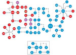 Thumbnail of Genomic clusters of highly drug-resistant tuberculosis cases among Papua New Guinea and Australia citizens residing or previously residing in the Torres Strait Protected Zone, 2010–2015, by lineage. The top shows the Beijing lineage, and the box at bottom shows the Euro-American lineage. Each circle represents &gt;1 isolate. Larger circles represent &gt;2 isolates with identical sequences; the number of specimens with identical sequences are indicated in parentheses. Details indicat