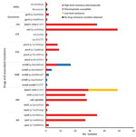 Thumbnail of Correlation of phenotypic and genotypic drug resistance among modern Beijing isolates from Papua New Guinea and Australia citizens residing or previously residing in the Torres Strait Protected Zone, 2010–2015. No resistance mutation detected in 1 kanamycin-resistant strain, despite targeted sequencing of rrs and eis genes. *Pairs of co-occurring mutations observed within the same isolates were embA-embB (C12T) with embB (p.Asp354Ala) and embB (p.Gly406Val) with embB (p.Met306Ile). 