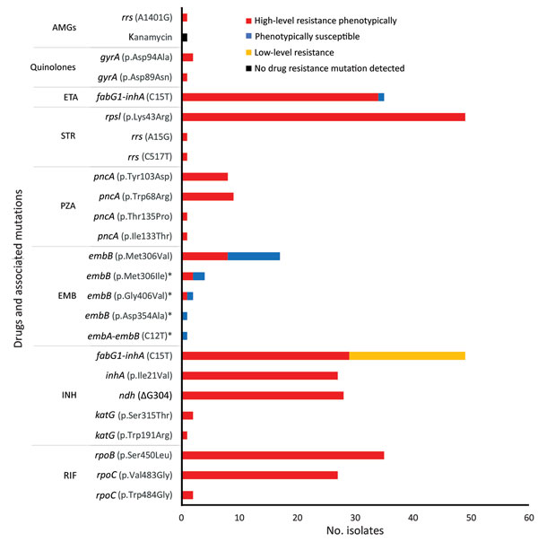 Correlation of phenotypic and genotypic drug resistance among modern Beijing isolates from Papua New Guinea and Australia citizens residing or previously residing in the Torres Strait Protected Zone, 2010–2015. No resistance mutation detected in 1 kanamycin-resistant strain, despite targeted sequencing of rrs and eis genes. *Pairs of co-occurring mutations observed within the same isolates were embA-embB (C12T) with embB (p.Asp354Ala) and embB (p.Gly406Val) with embB (p.Met306Ile). AMGs, aminogl