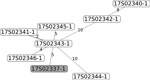 Thumbnail of Minimal-spanning tree of 34 single-nucleotide polymorphisms. Gray indicates the human isolate. single-nucleotide polymorphisms counts are given.