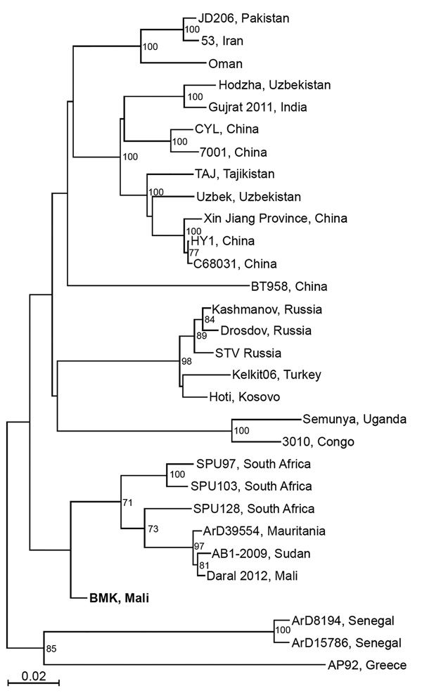 Phylogenetic analysis of representative Crimean-Congo hemorrhagic fever virus (CCHFV) isolates identified in Mali in 2017 (bold) and reference isolates. The tree was constructed by using full-length sequences of the small RNA segment and the neighbor-joining method with bootstrapping to 10,000 iterations. Partial sequences were compared by using the pairwise deletion method. The tree is drawn to scale. Evolutionary analyses were constructed in MEGA7 (https://www.megasoftware.net). Scale bar indi