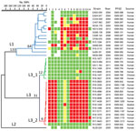 Thumbnail of Dendrogram of 36 representative Salmonella enterica serovar Anatum strains from Taiwan, 2004–2017, constructed with whole-genome SNP profiles with 883 SNPs. The complete genomic sequence of Salmonella Anatum strain GT-38 (GenBank accession no. CP013226) was used as the reference for SNP calling. Red, resistant; yellow, intermediate; green, susceptible. Lanes: 1, cefoxitin; 2, cefotaxime; 3, ceftazidime; 4, ertapenem; 5, nalidixic acid; 6, iprofloxacin; 7, gentamicin; 8, ampicillin; 