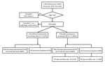 Thumbnail of Flowchart for analysis of clinical and radiologic characteristics of adults with HMPV infections, South Korea. BMT, bone marrow transplant; CT, computed tomography; CXR, chest radiograph; HMPV, human metapneumovirus; SOT, solid organ transplants; TP, transplant.