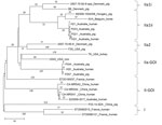 Thumbnail of Phylogenetic tree of MRSA sequence type (ST) 398 isolate S23009-2017, recovered from a man in Australia in 2017, and related MRSA ST398 isolates from around the world (2,6,7). The tree was constructed by using single-nucleotide polymorphism differences and is rooted with MRSA ST398 isolates containing a single Panton-Valentine leukocidin locus. Isolates are grouped into clusters as described by Price et al. (6). Scale bar represents number of nucleotide substitutions per residue. CA