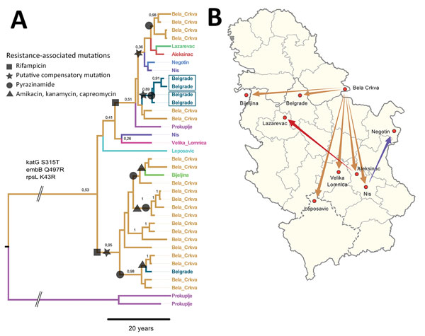 Most likely temporal and spatial origin of Mycobacterium tuberculosis complex (MTBC) TUR genotype outbreak strains in Serbia. A) Location annotated time-scaled phylogeny (maximum clade credibility tree) derived from a Bayesian discrete trait phylogeographical analysis of 37 lineage 4.2.2.1 (TUR genotype) multidrug-resistant (MDR) MTBC isolates. Branches are color-coded according to the most likely place of infection, assuming a fast-progression hypothesis (Appendix 1). Branches are annotated wit