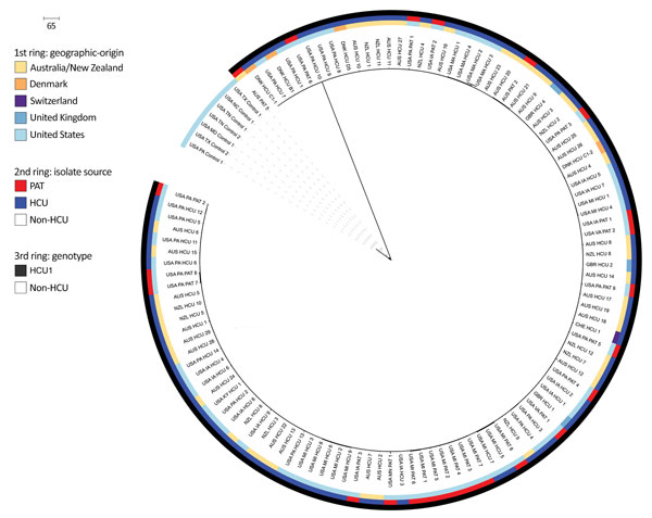 Maximum-likelihood phylogenetic relationships between HCU1 and US non-HCU–associated isolates (651 SNPs in 4,024,718 core positions) as a circular phylogeny. From the center to the perimeter, colored circles indicate the country of origin, isolate source, and HCU genotype(s). Clinical isolate labels use country abbreviation: Australia (AUS), Denmark (DNK), Florence, Italy (FI), New Zealand (NZL), Switzerland (CHE), United Kingdom (GBR), United States (USA); HCU or PAT; isolate number. Non-HCU–as