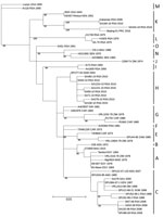 Thumbnail of Maximum-likelihood tree showing the phylogeny of Rift Valley fever virus isolate SA344-18, collected in South Africa in May 2018, on the basis of a 490-nt fragment of the medium segment. Lineage names according to the nomenclature of Grobbelaar et al. (5) are indicated. Maximum-likelihood analysis was performed in RAxML version 8.2.10 (http://evomics.org/learning/phylogenetics/raxml); 100,000 bootstrap replicates were performed. Bootstrap values are shown at the nodes. Scale bar ind
