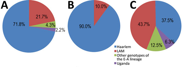 Lineage and family distribution of drug-resistant strains identified during study of drug-resistant Mycobacterium tuberculosis, Tunisia, 2012–2016. A) MDR strains. Haarlem was the most frequently represented family (71.8%) among MDR strains. Among other samples, 21.7% belonged to the LAM family, 4.3% presented other genotypes of the EA lineage, and 2.2% the Uganda genotype. B) Clustered MDR strains. Haarlem was also the most frequent family (90.0%); the rest belonged to the LAM family. C) Nonclu