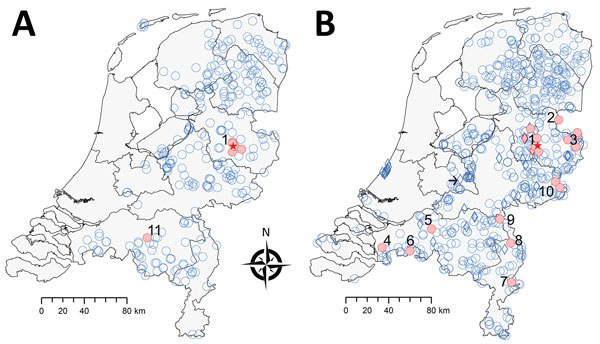 Geographic distribution of tick-borne encephalitis virus (TBEV) based on surveillance of roe deer, the Netherlands, during A) 2010 and B) 2017. Data for 2010 were reproduced from Jahfari et al. (1). Red indicates roe deer serum samples that showed positive results in the TBEV neutralization test, and blue indicates roe deer serum samples that showed negative results in this test or an ELISA. Numbers indicate potential foci, and red stars indicate location of 2016 TBEV-RNA positive ticks in Salla