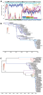 Thumbnail of Nucleotide similarity and phylogenetic analyses of EV-A71 subgenogroup C1v2015 isolates, France, 2016–2017, constructed to determine temporal origin of C1v2015 lineage. A) Nucleotide similarity patterns between EV-A71 C1v2015 and other EV-A lineages indicate the C1v2015 genome has a mosaic structure. The genome of the virus from patient 10’s throat swab (10|PMB250102|FRA|2016) was used as the query sequence. The similarity plots determined with the other C1v2015 genomes (except 14|C